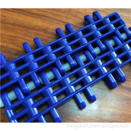 Seafood Industry Modular Conveyor Belt